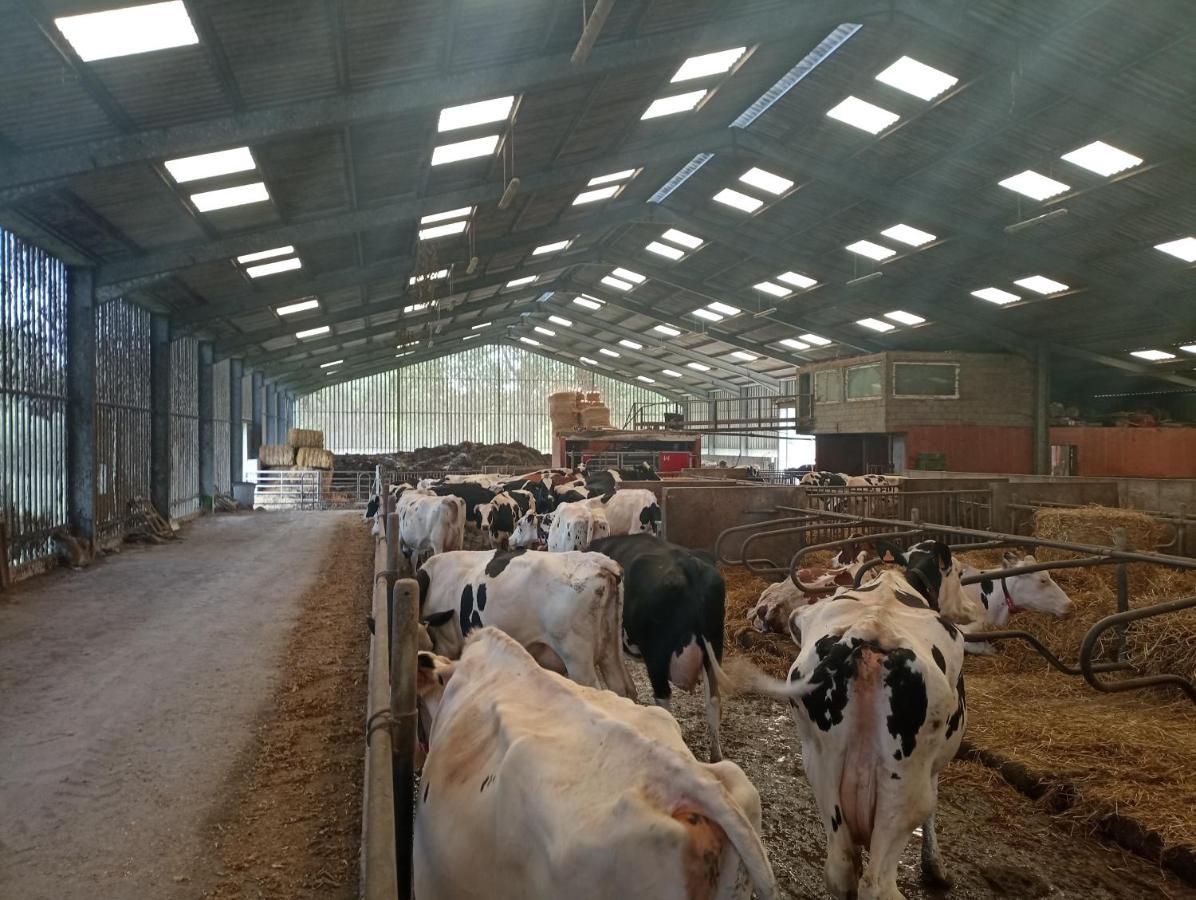 Gite A La Ferme Chez Magali Escaudoeuvres Dış mekan fotoğraf