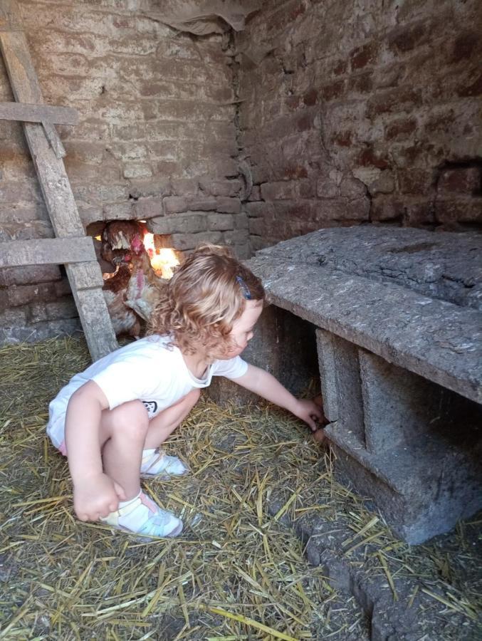 Gite A La Ferme Chez Magali Escaudoeuvres Dış mekan fotoğraf